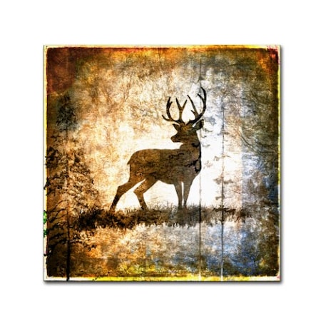 Trademark Fine Art LightBoxJournal 'High Country Deer' Canvas Art, 35x35 ALI10260-C3535GG